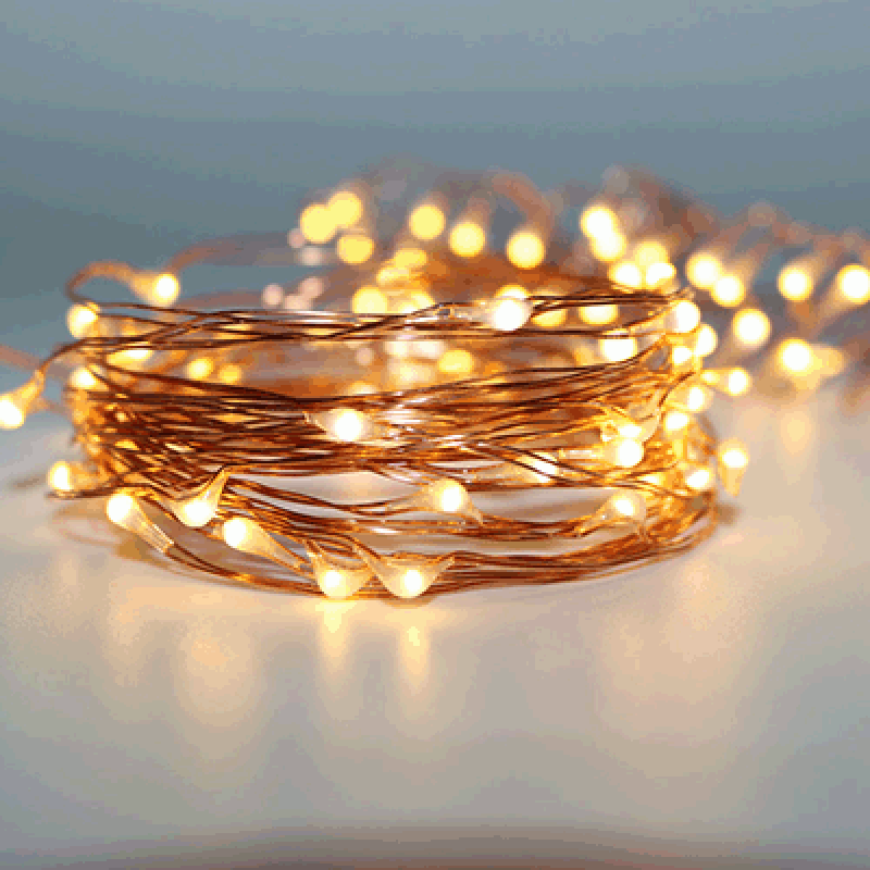 Micro 50 Led Warm White Fairy Lights On Copper Wire Mhalaty
