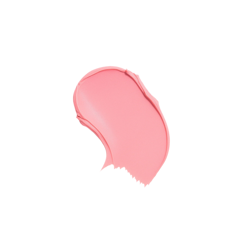 The Makeup Manual - Multi-stick