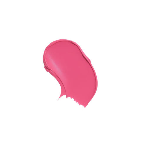 The Makeup Manual - Multi-stick