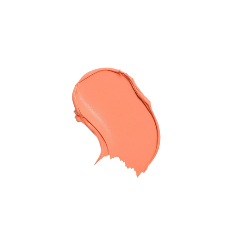 The Makeup Manual - Multi-stick