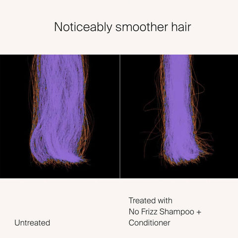 Living Proof - frizz ® Smoothing Conditioner