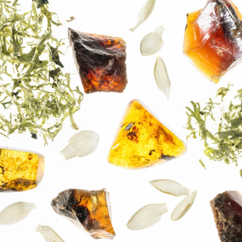 Touchland - Power Essence Body & Hair Frangrance Mist - Golden Amber Touchland - Power Essence Body & Hair Frangrance Mist - Golden Amber