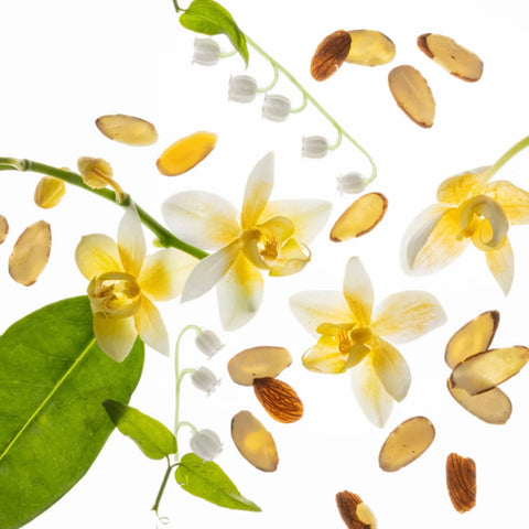 Touchland - Power Essence Body & Hair Frangrance Mist - Vanilla Velvet Touchland - Power Essence Body & Hair Frangrance Mist - Vanilla Velvet