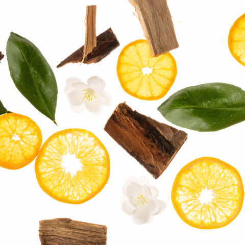 Touchland - Power Essence Body & Hair Frangrance Mist - Cashmere Woods Touchland - Power Essence Body & Hair Frangrance Mist - Cashmere Woods