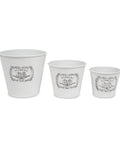 Flowers & Garden White Triple Pots - Mhalaty