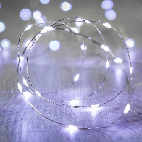 Micro 20 Led Cool White Fairy Lights On Silver Wire Micro 20 Led Cool White Fairy Lights On Silver Wire