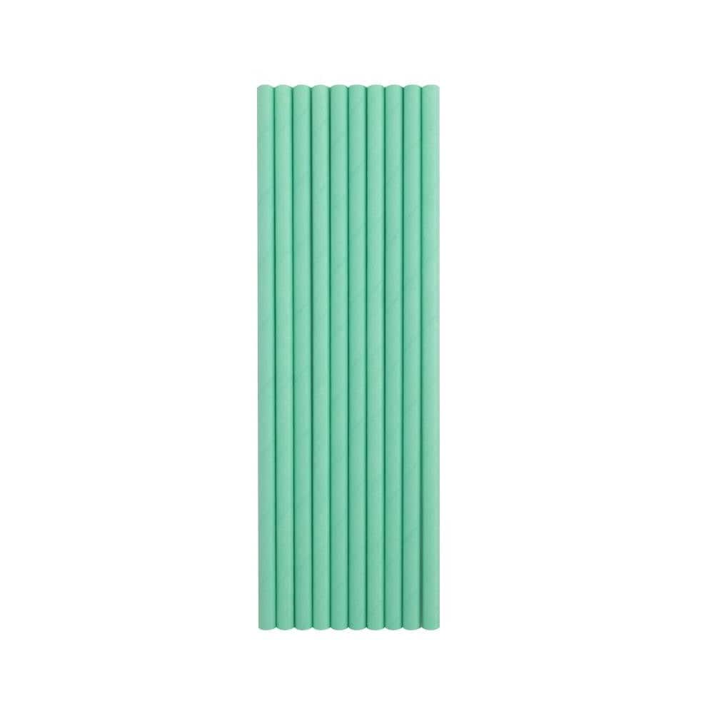 Mint Green Paper Straws - Mhalaty