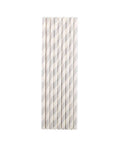 Silver Stripes Paper Straws - Mhalaty