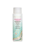 Pacifica - Rosemary Purify Invigorating Shampoo - Mhalaty